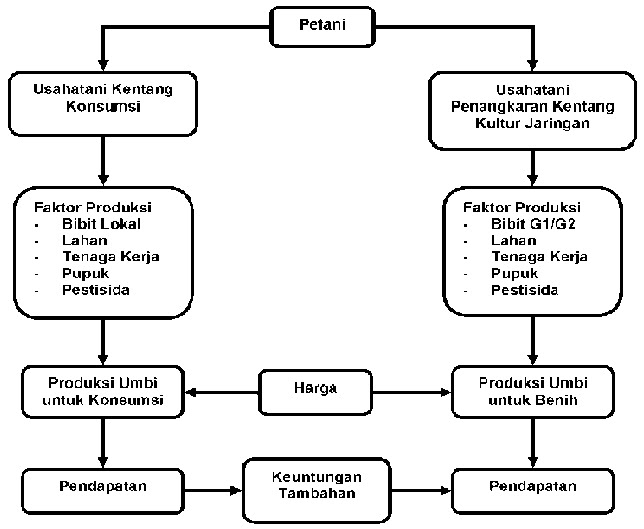 Analisa Faktor Faktor Yang Mempengaruhi Tingkat Pendapatan Petani My
