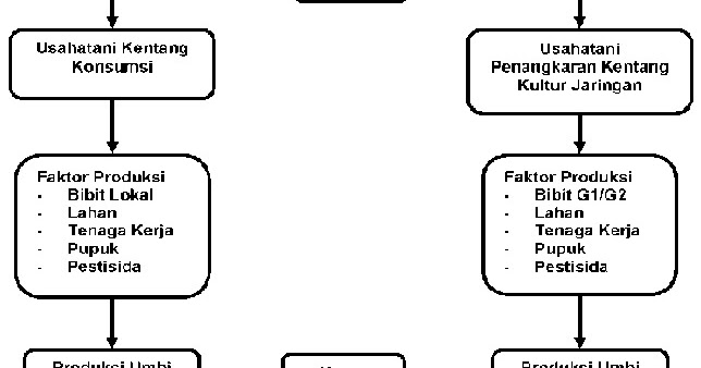 FaktorFaktor Yang Mempengaruhi Tingkat Pendapatan Usahatani Mina Padi