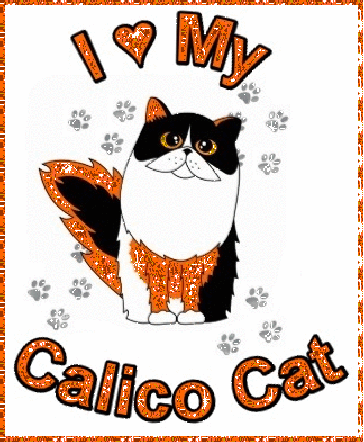 Calico Cats of America
