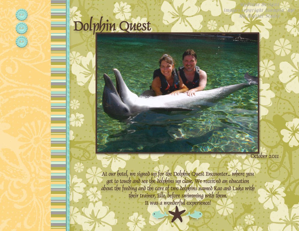 MyDiane Designs Dolphin Quest