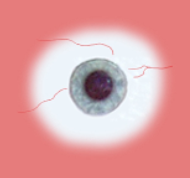eyes raster images eyes raster images