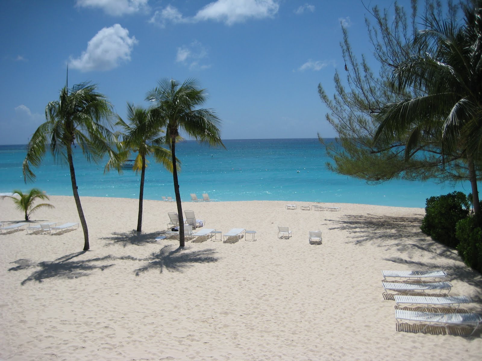 best things to do in Cayman islands