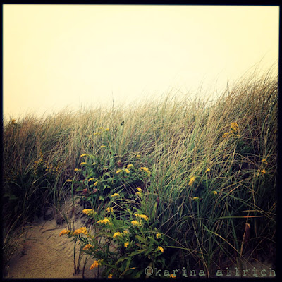 Lemon Sky at Skaket Beach, foggy Cape Cod morning by Karina Allrich