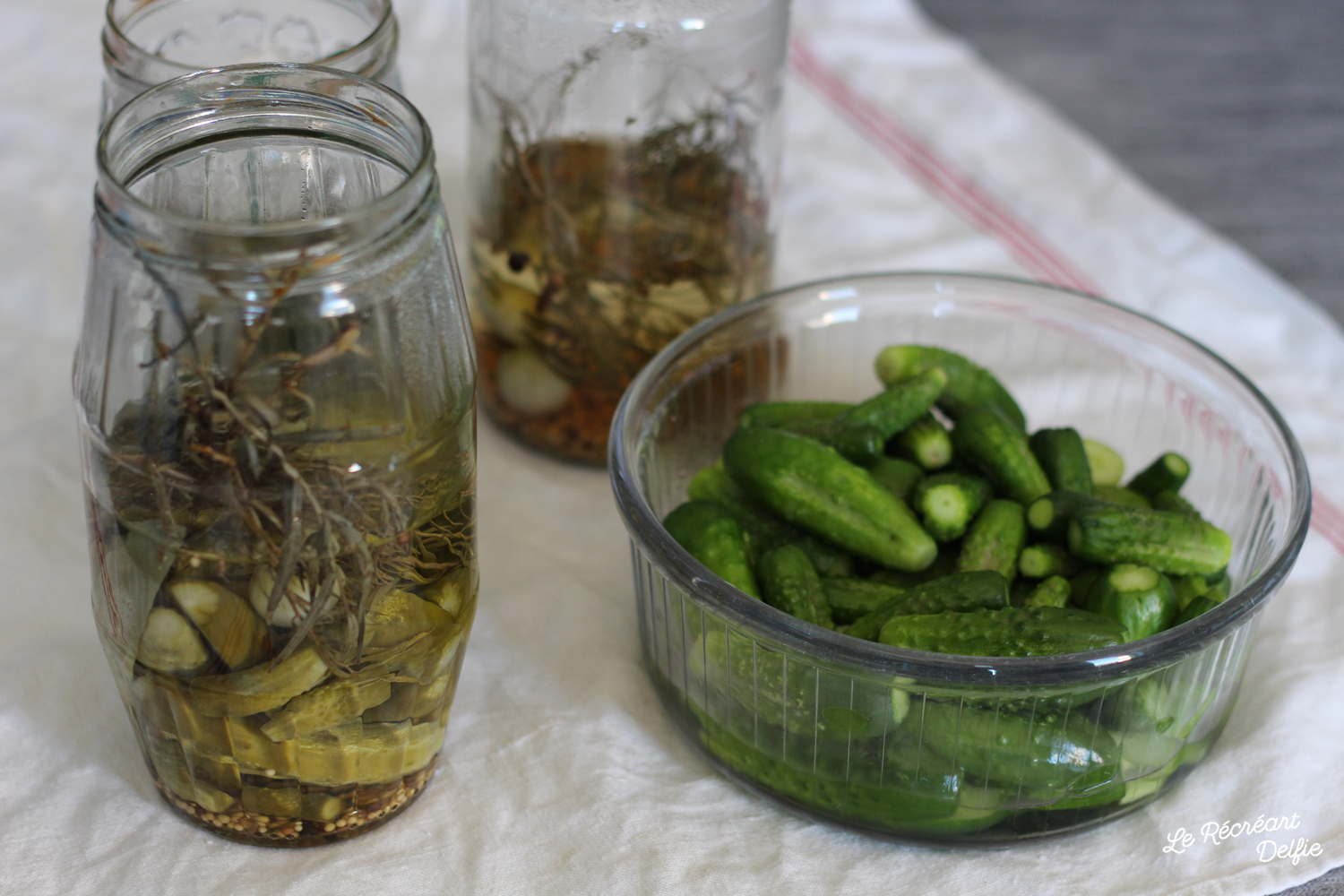 Conserves de Cornichons au vinaigre fait maison Le Récréart Delfie