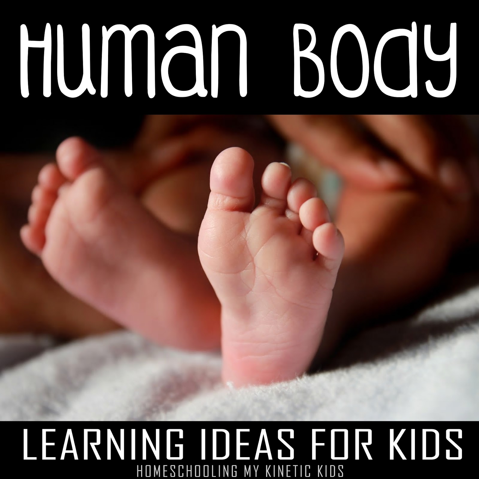Human Body Learning Ideas
