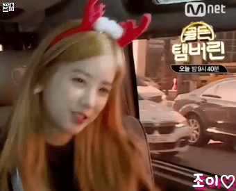 청문회로 지친눈 양남자쇼 에핑 초롱이랑 우주소녀 성소로 정화.gif | 인스티즈