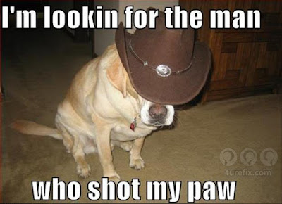 I'm Lookin For The Man, funny dogs picture meme