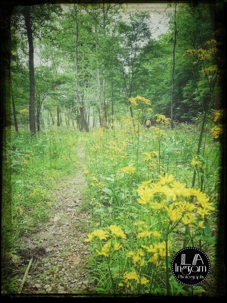 LA Ingram Photography Hardin Ridge in Heltonville, Indiana