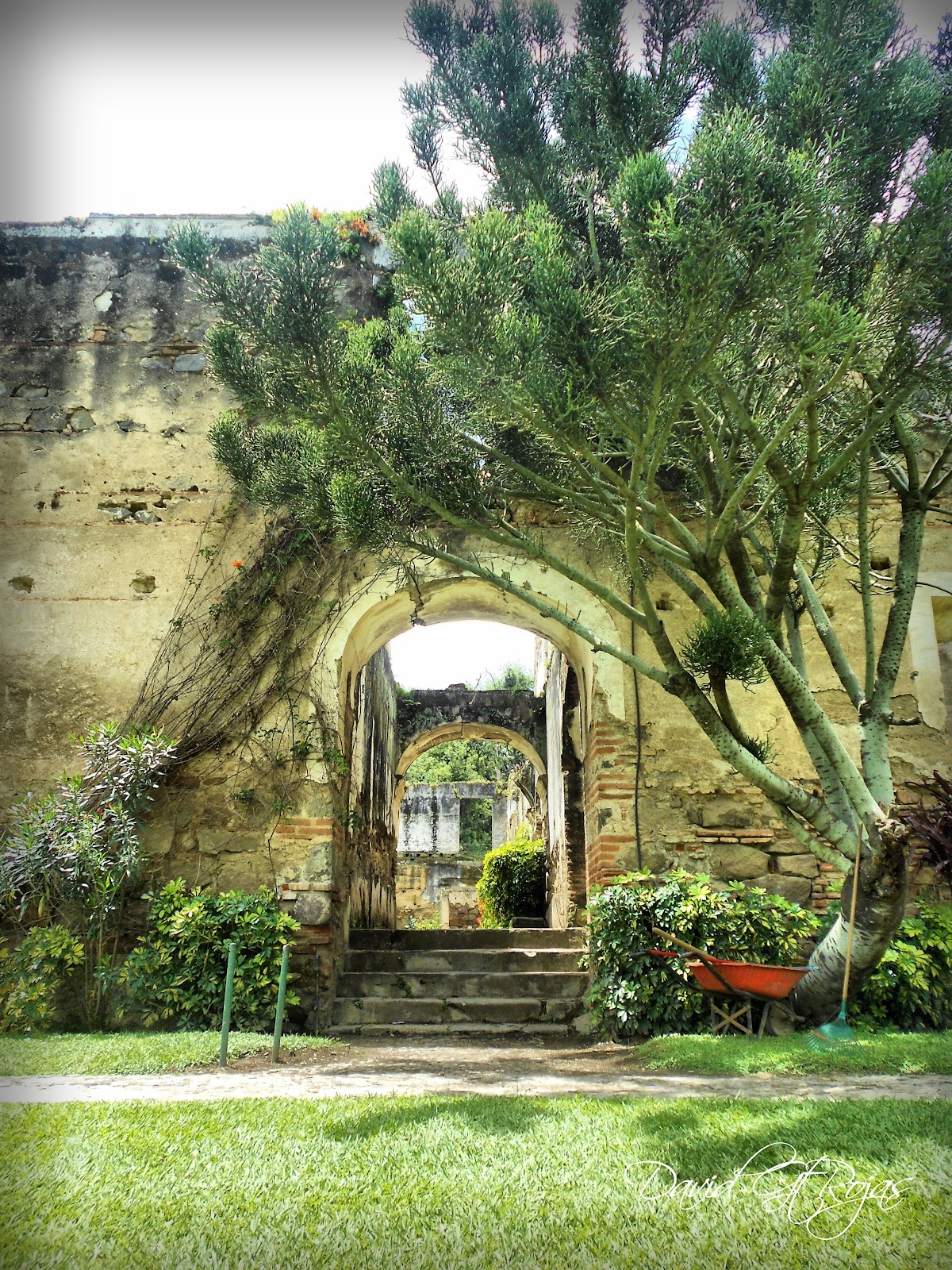 David Rojas Fotografía Ruinas del Convento de San Jerónimo, Antigua