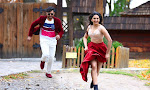 Sai Dharam Tej's Winner Movie photos gallery-thumbnail