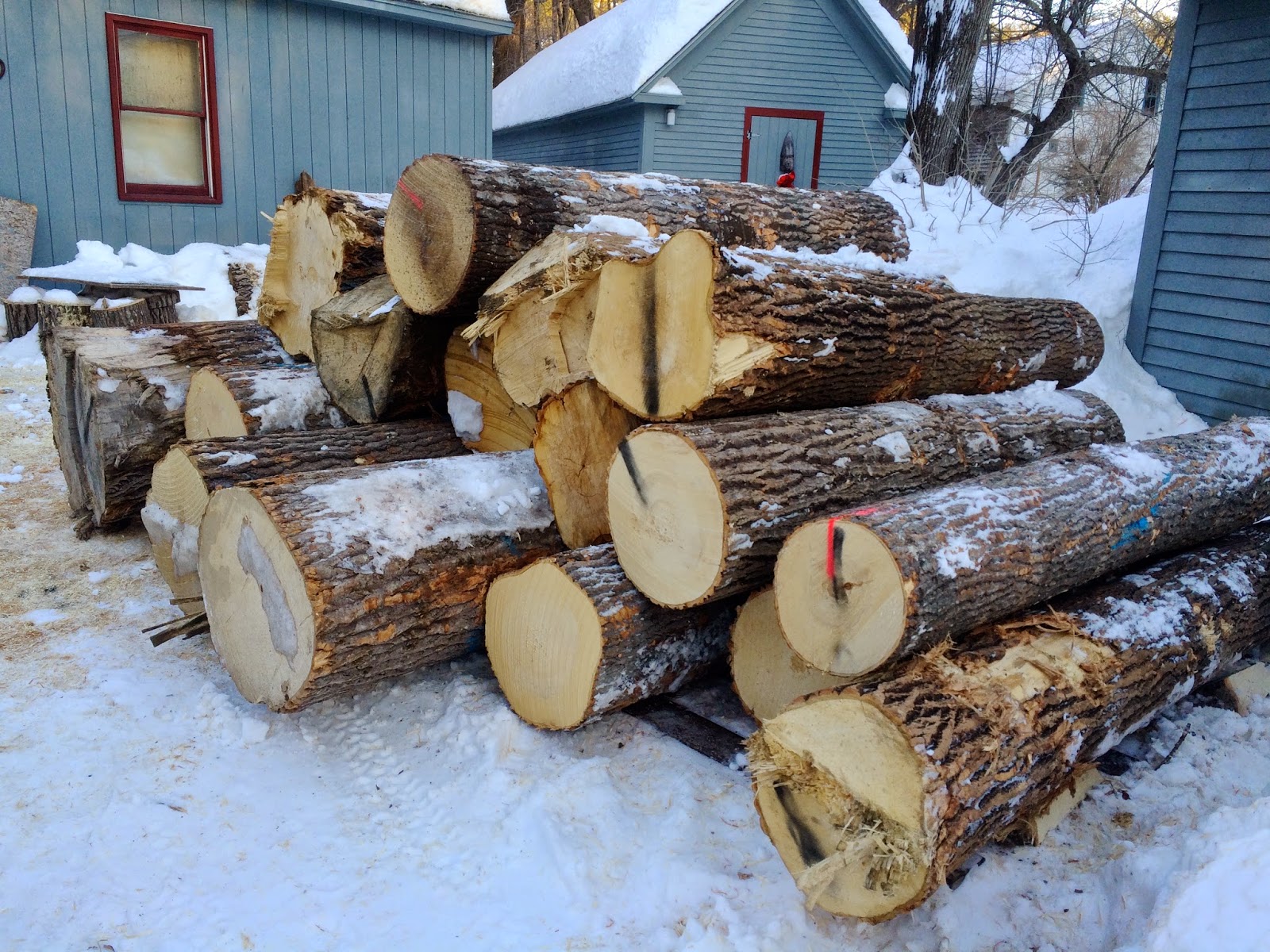 Glowing Dreams of Translucent Wood