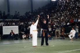 Sepri Blog: Pencak silat