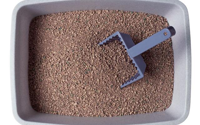 Kitty Litter Box Cake Recipe Kitty Litter Box Cake Recipe