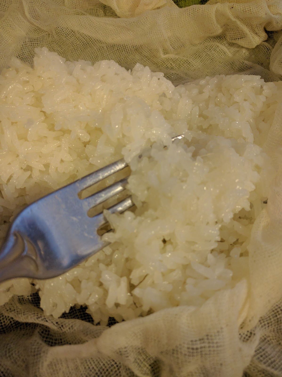 Successfully Cooking Rice