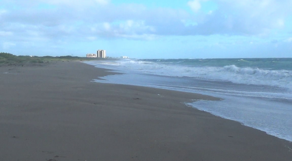 The Treasure Beaches Report Direct From Florida's Treasure Coast. 4/18
