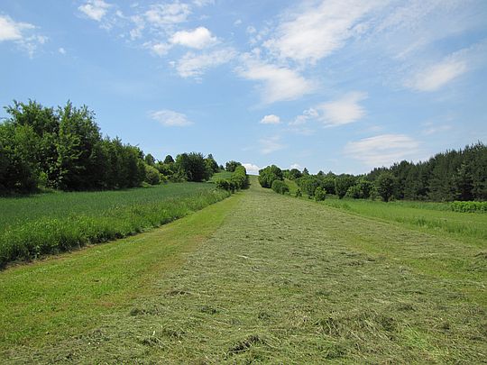 Łąki i pola przy roztoczańskim szlaku krawędziowym.