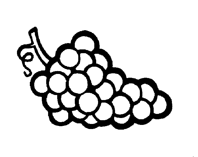 Coloring Pages for Kids: Grapes Coloring Pages for Kids