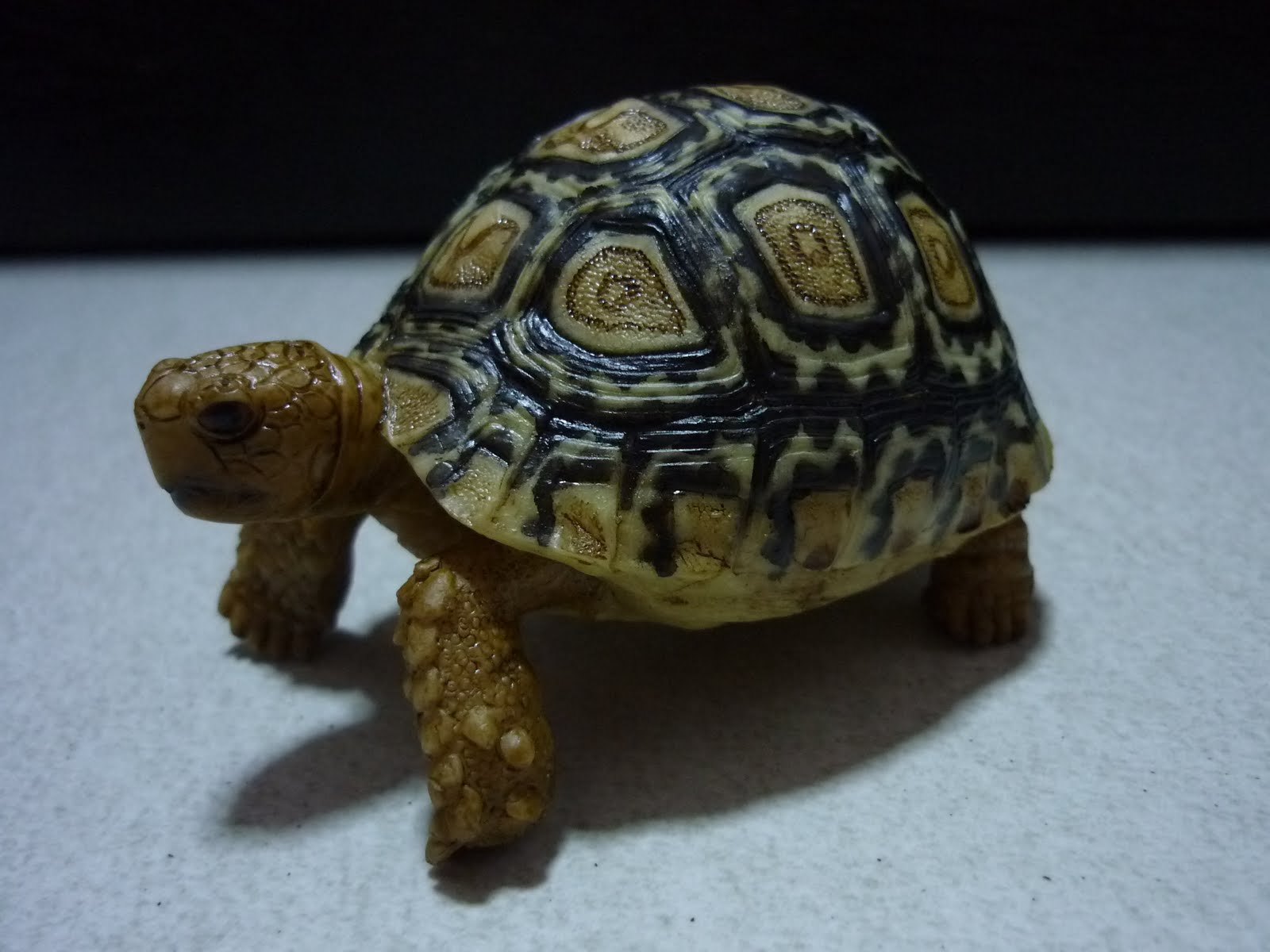Disney Anime Toys DAT Realistic Tortoise Replicas Polyresin