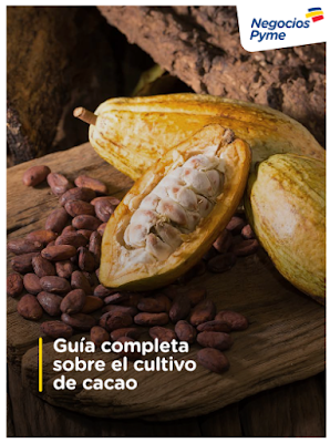 https://www.grupobancolombia.com/wps/wcm/connect/c046d960-f8c7-44d3-9e14-19ed18a71388/pdf+cacao-02.pdf?MOD=AJPERES&CVID=mlDrYSD