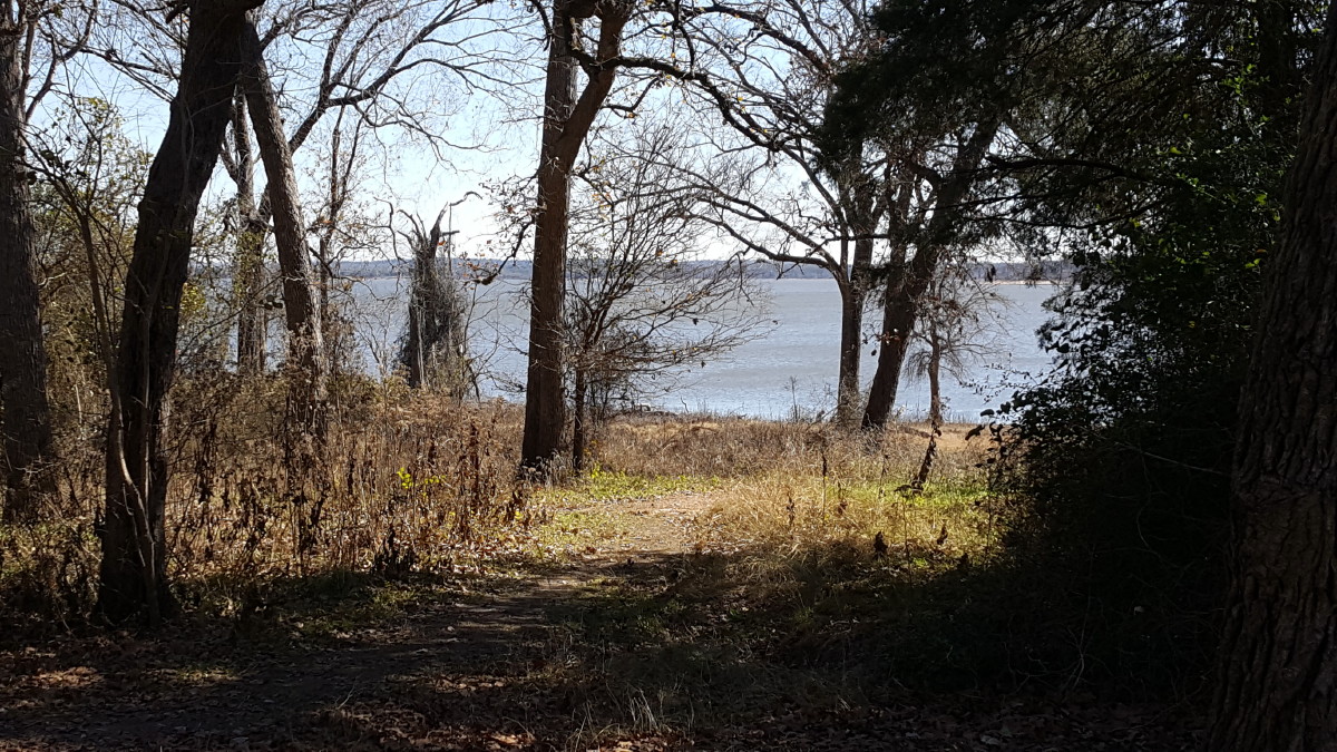 J and B and Lady Blue Lake Somerville State Park, Coronas Restaurant