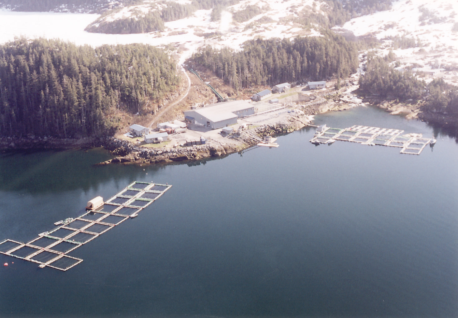 Progressive Alaska On Craig Medred's PWSAC Article in the Dispatch