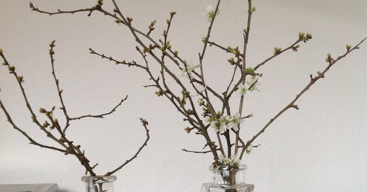 Bealina: Blümchen und Mäppchen