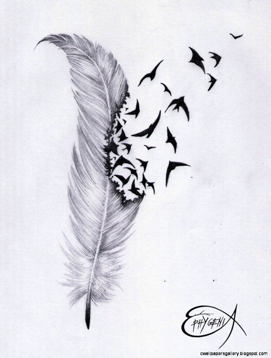 Feather Drawing Tumblr