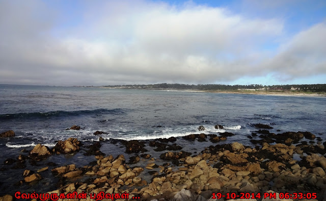 Pebble Beach Pacific Grove