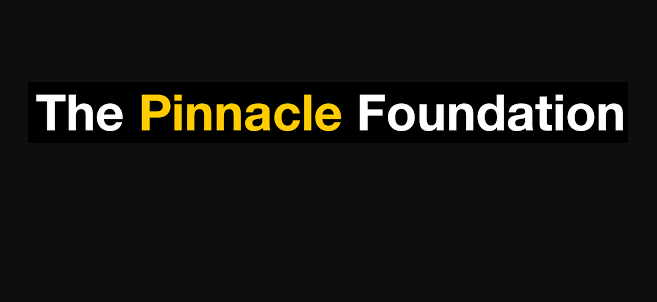 Pinnacle Foundation Undergraduate Scholarship