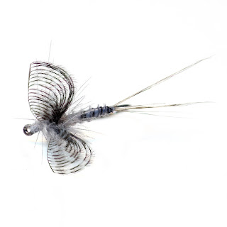 Wally Wing Callibaetis wally wing callibaetis