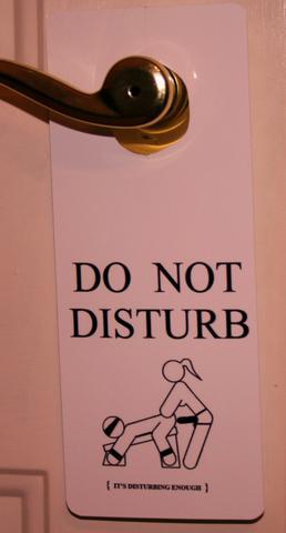 Do not disturb - pussification in progress