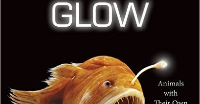 glow animals with their own night lights by w h beck glow night light animals