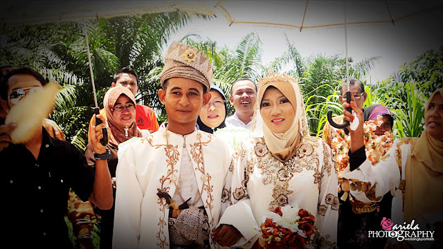 arielaphotography.com