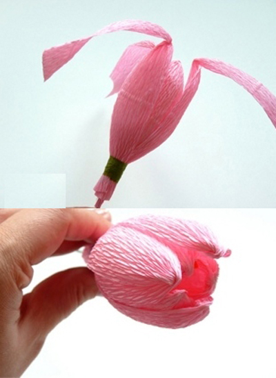 Hướng Dẫn Cach Lam Giỏ Hoa Tulip Bằng Giấy Nhun