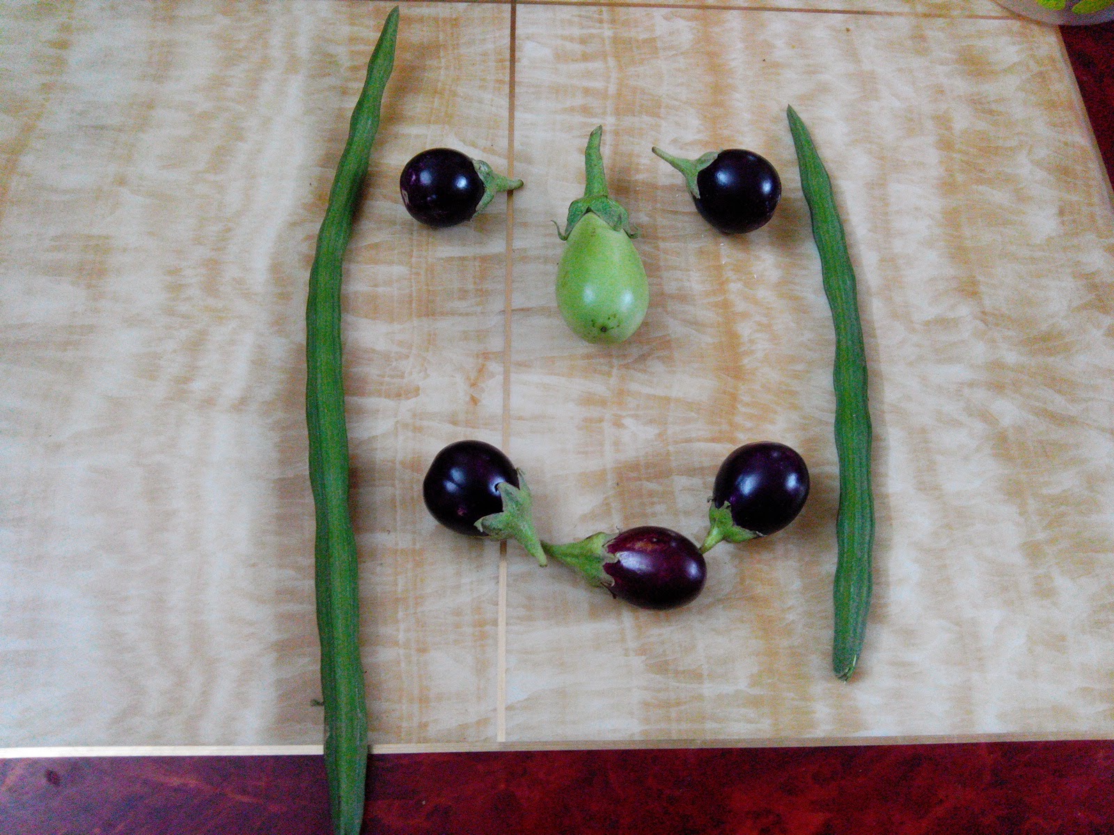 TERRACE GARDENING: My Terrace Garden