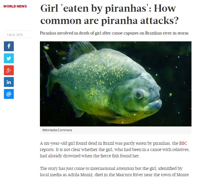 Dangerous Animal PIRANHA
