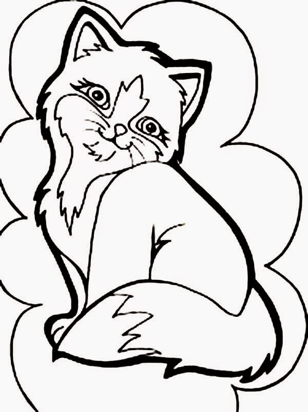 Navishta Sketch sweet cute angle cats