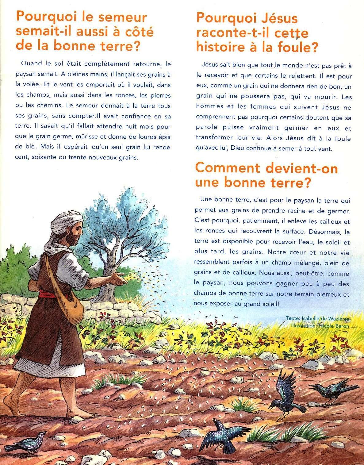 Des activités pour le caté sur la parabole du semeur