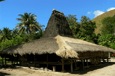 rumah musalaki NTT rumah musalaki NTT