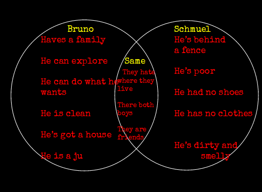 Wiremu: Bruno and Schmuel Venn Diagram