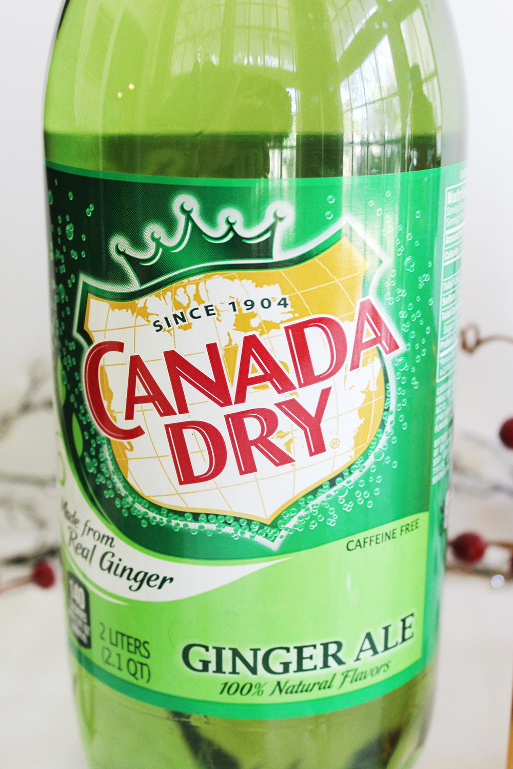 Southern Mom Loves Cranberry Ginger Fizz Holiday Cocktail