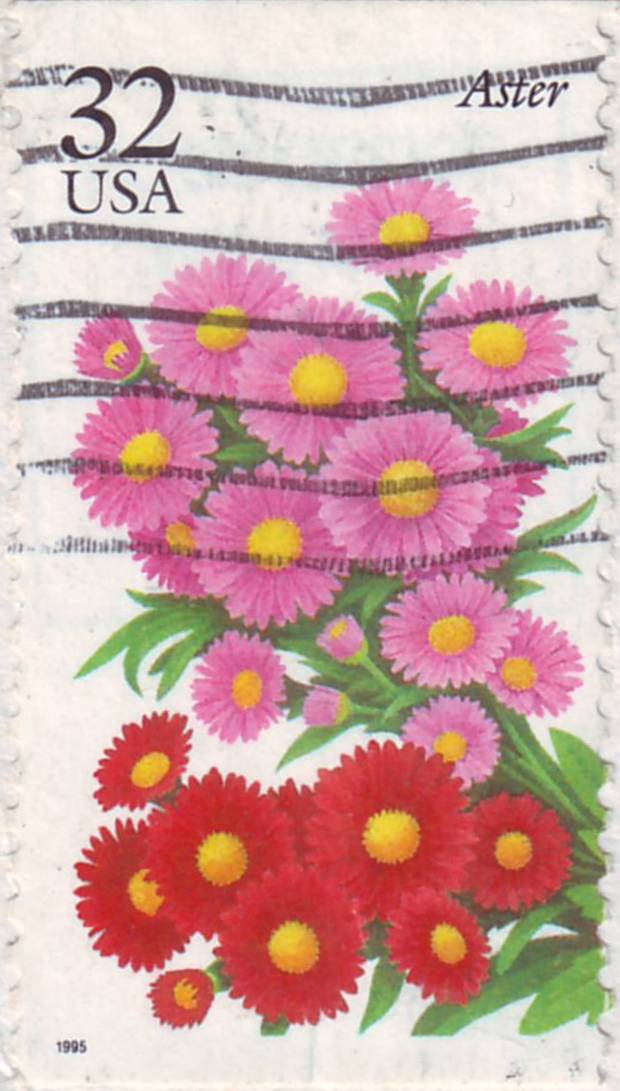 Selling antiques used and historic Usa stamp 32 Aster