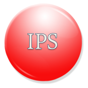 Berikut Adalah Jasa Yang Dilakukan Thomas Stamford Raffles Kecuali Kumpulan Soal Dan Jawaban