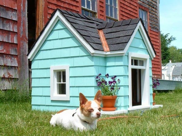 Luxury Dog House And Bed Of Natural Materials