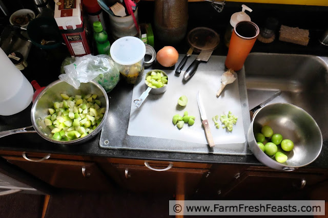 the kitchen set up for making salsa verde with roasted hatch chiles
