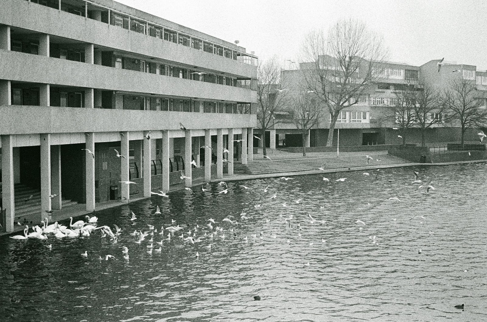 This Life in Ruins Thamesmead Housing Estate, London, UK