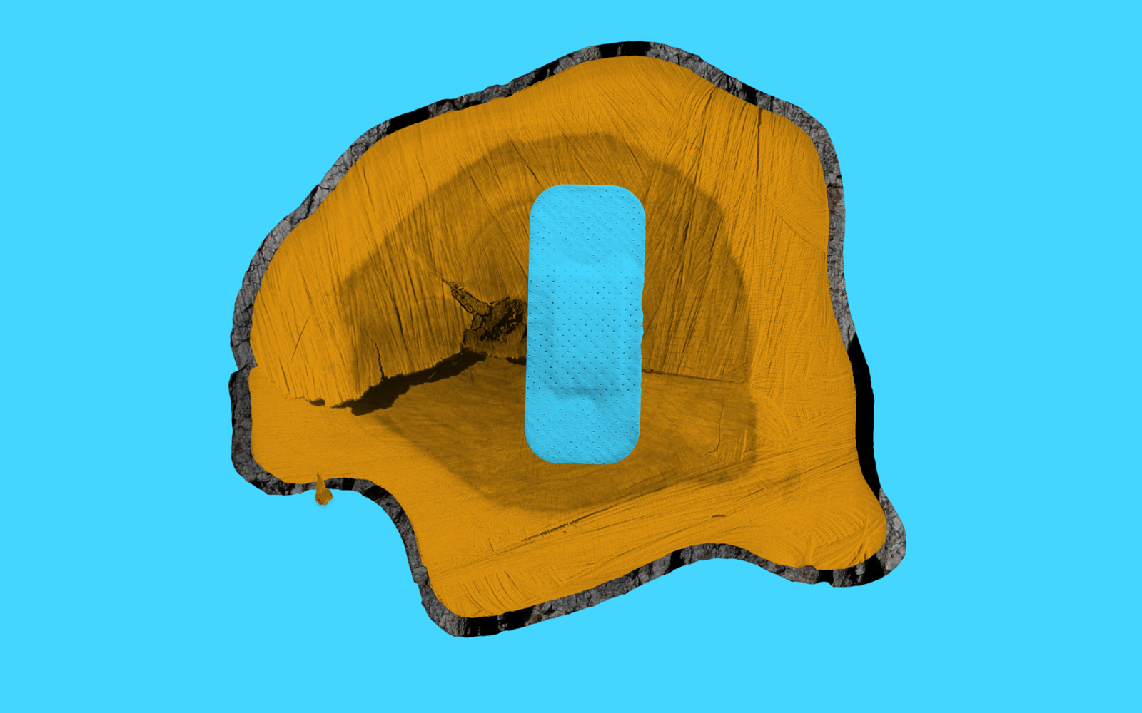 Wooden Patio Cover Damages Common in LA