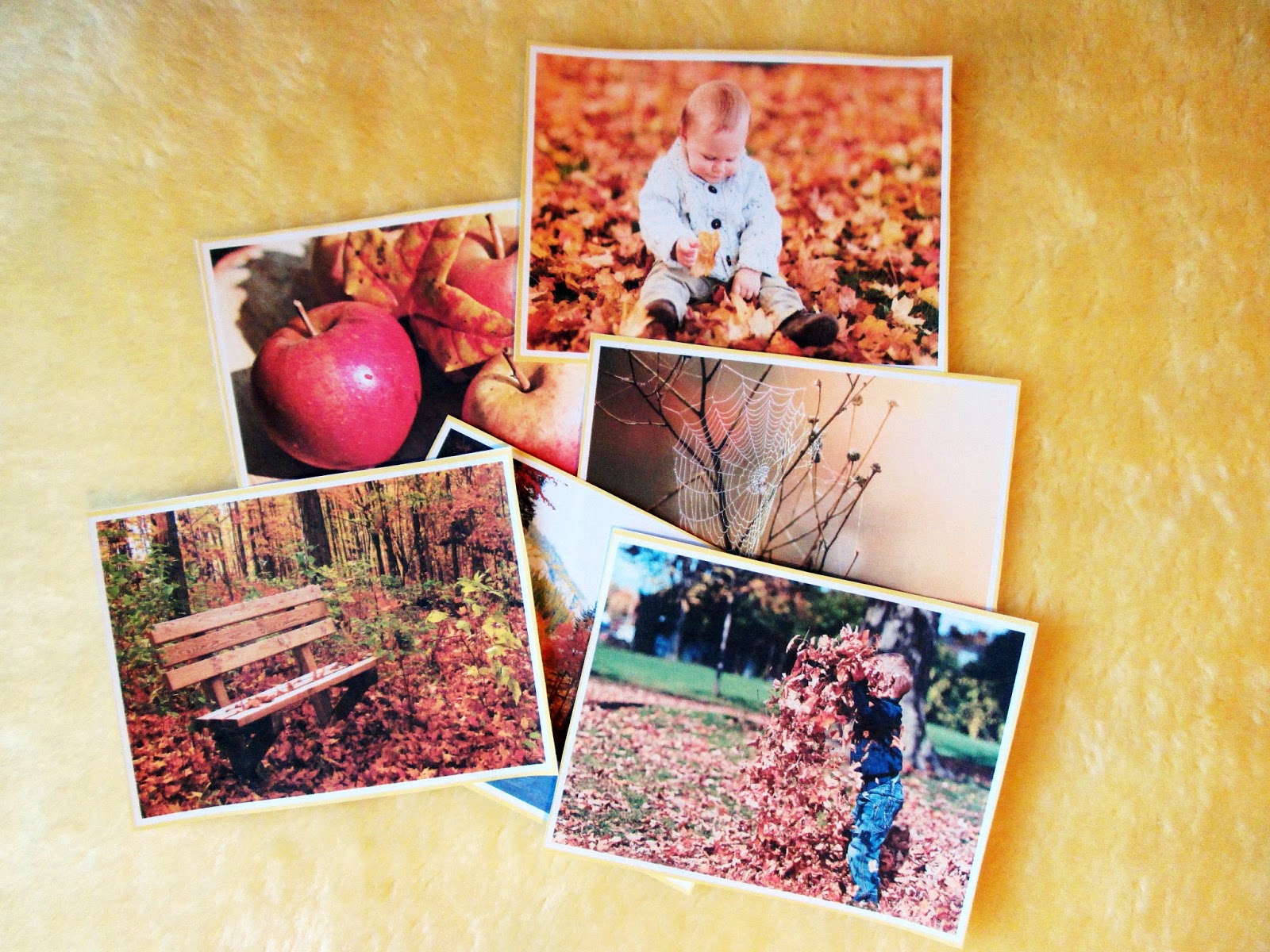 I Believe in Montessori: How to set up autumn season corner?