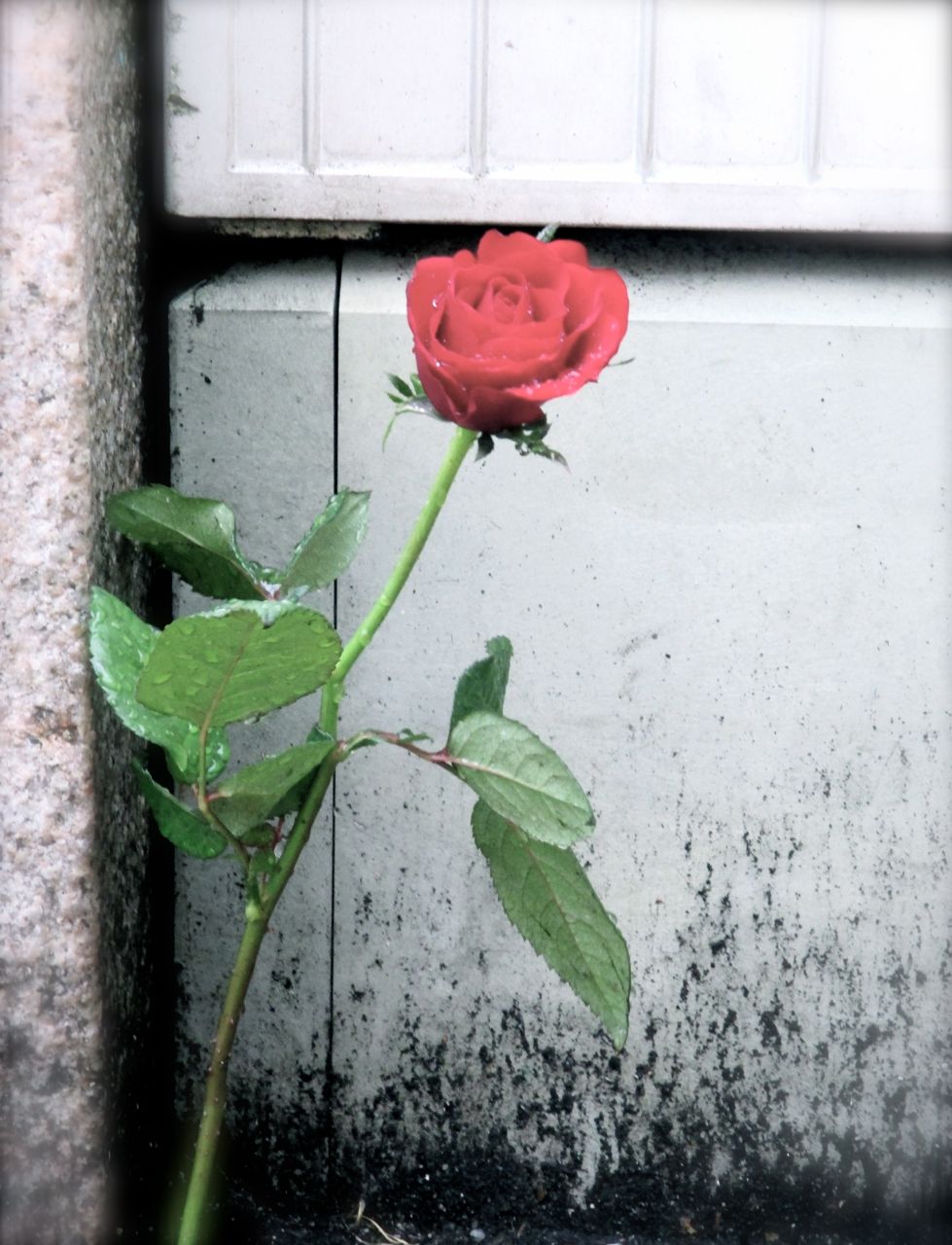 Angelika Wende Uber Liebe