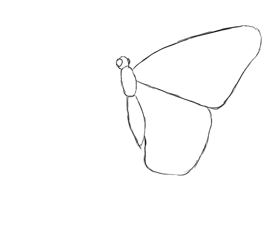 Featured image of post Butterfly Drawing Images Easy